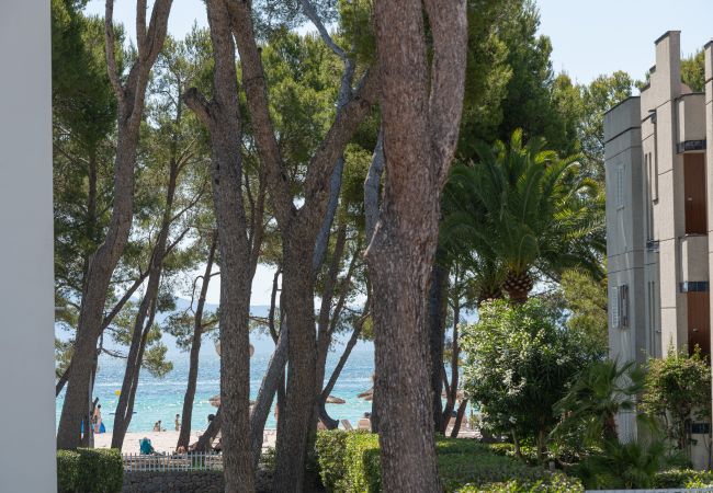 Apartment in Alcudia - Assimetric, a solo 50 metros de la playa Apartment in Alcudia - Assimetric, a solo 50 metros de la playa